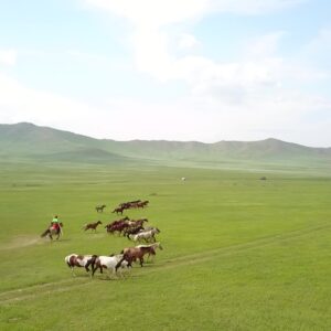 【HA039】2日間たっぷり乗馬遊牧民生活体験×映画ロケ地巡りで、モンゴルの本気に触れる旅！